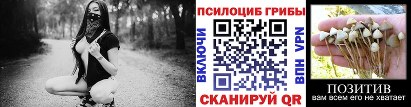 наркошоп  Апатиты  Псилоцибиновые грибы Cubensis 